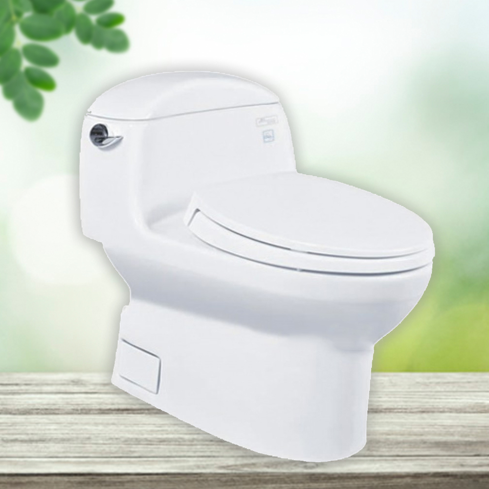 Bồn Cầu Thông Minh TOTO WASHLET+ MS914CRW12